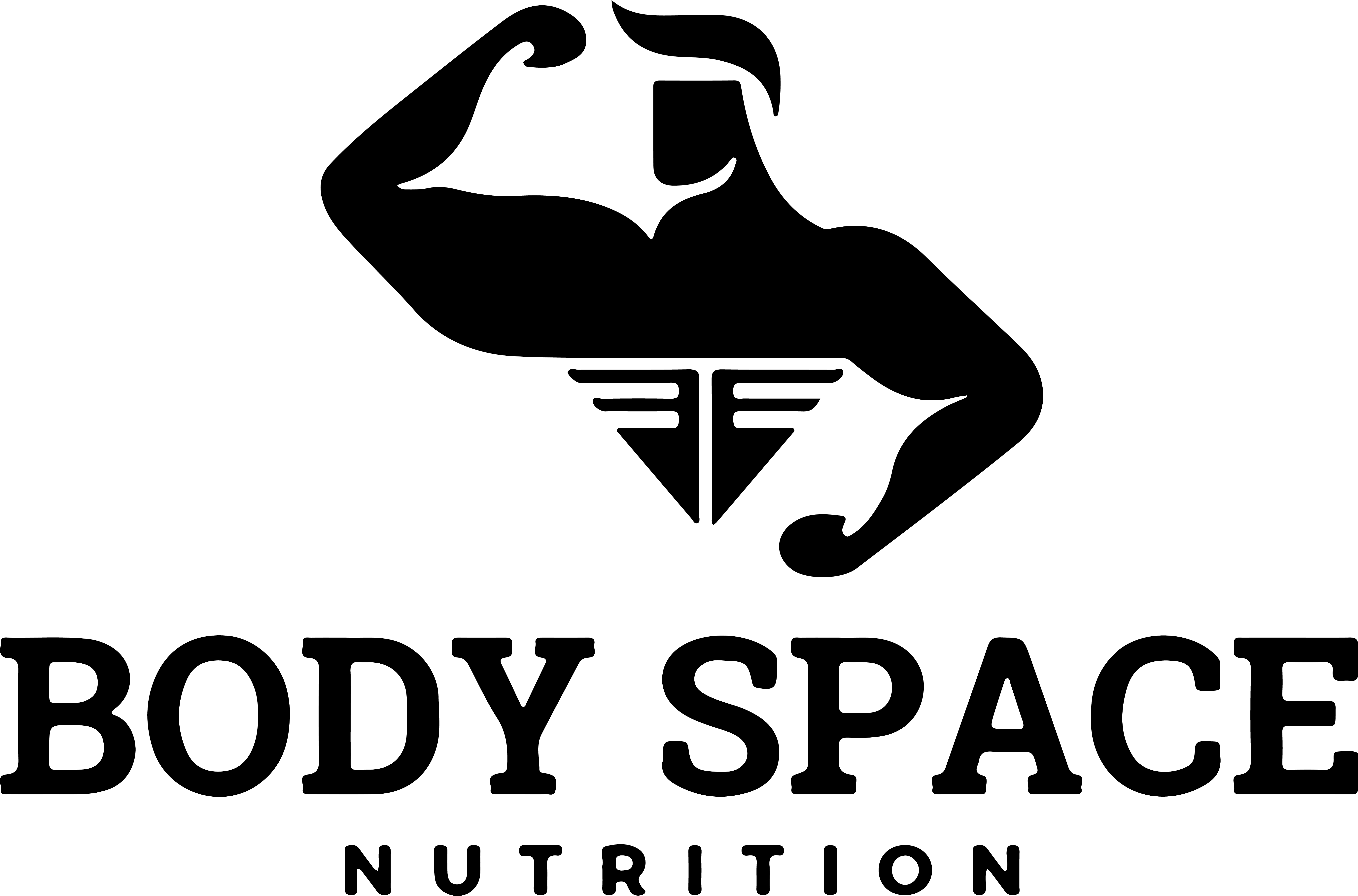 company logo