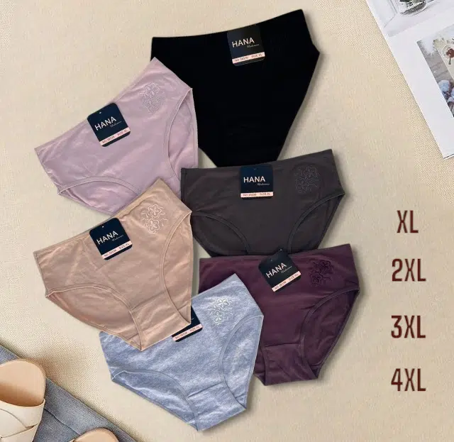 PACK 6 SLIPS TAILLE HAUTE HANA UNDERWEAR POUR FEMMES EN COTON