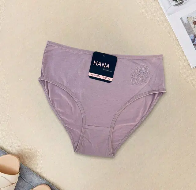 PACK 6 SLIPS TAILLE HAUTE HANA UNDERWEAR POUR FEMMES EN COTON