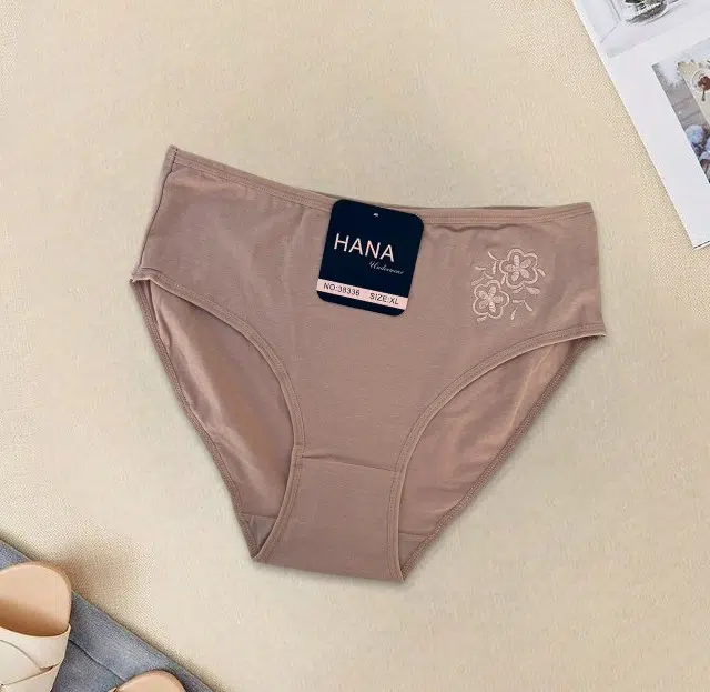 PACK 6 SLIPS TAILLE HAUTE HANA UNDERWEAR POUR FEMMES EN COTON