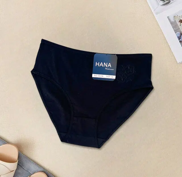 PACK 6 SLIPS TAILLE HAUTE HANA UNDERWEAR POUR FEMMES EN COTON