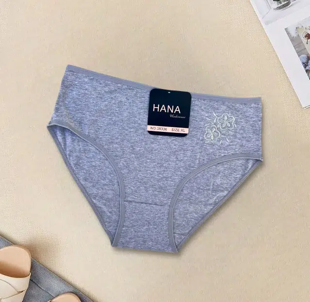 PACK 6 SLIPS TAILLE HAUTE HANA UNDERWEAR POUR FEMMES EN COTON