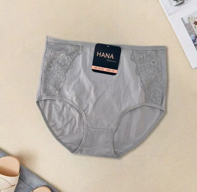 PACK 5 SLIPS TAILLE SUPER HAUTE HANA UNDERWEAR POUR FEMMES EN COTON