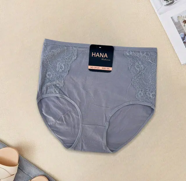 PACK 5 SLIPS TAILLE SUPER HAUTE HANA UNDERWEAR POUR FEMMES EN COTON