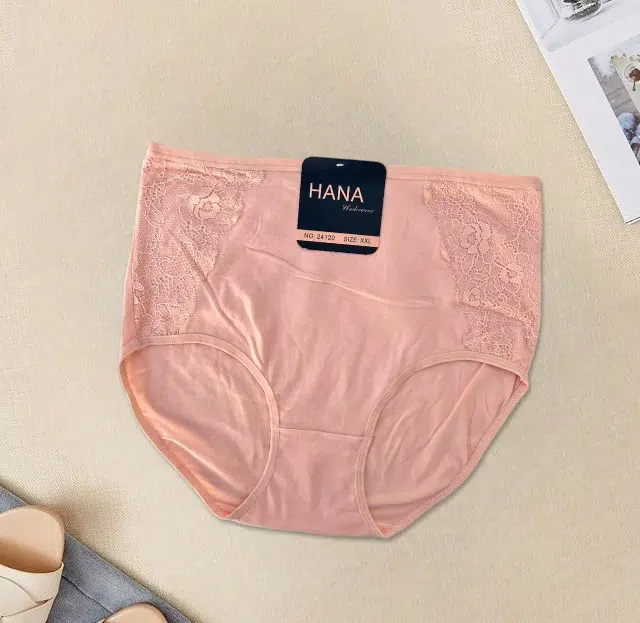 PACK 5 SLIPS TAILLE SUPER HAUTE HANA UNDERWEAR POUR FEMMES EN COTON