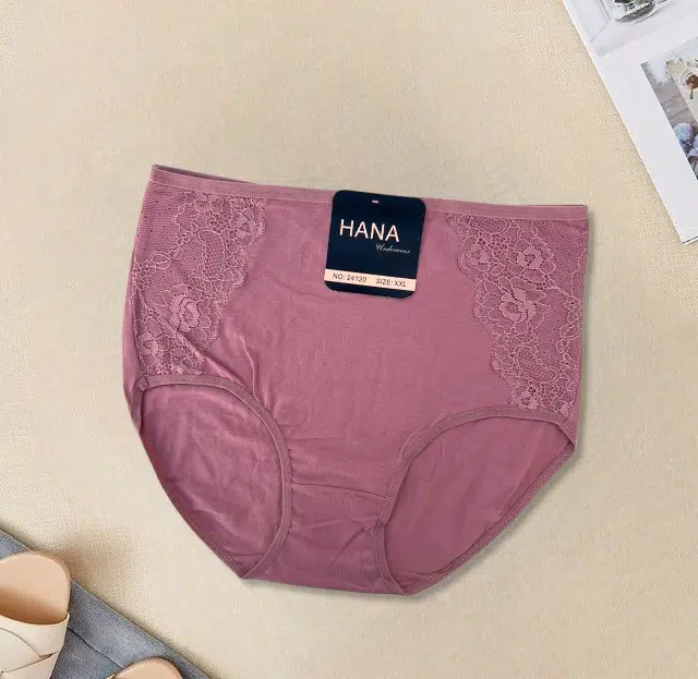 PACK 5 SLIPS TAILLE SUPER HAUTE HANA UNDERWEAR POUR FEMMES EN COTON