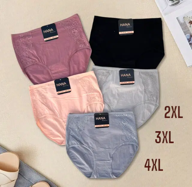 PACK 5 SLIPS TAILLE SUPER HAUTE HANA UNDERWEAR POUR FEMMES EN COTON