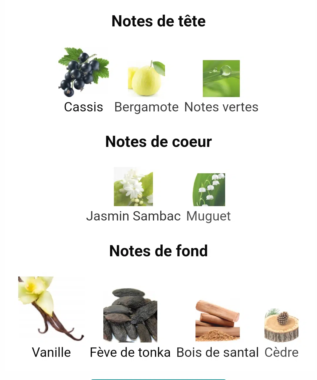MANIFESTO De YVES SAINT LAURENT