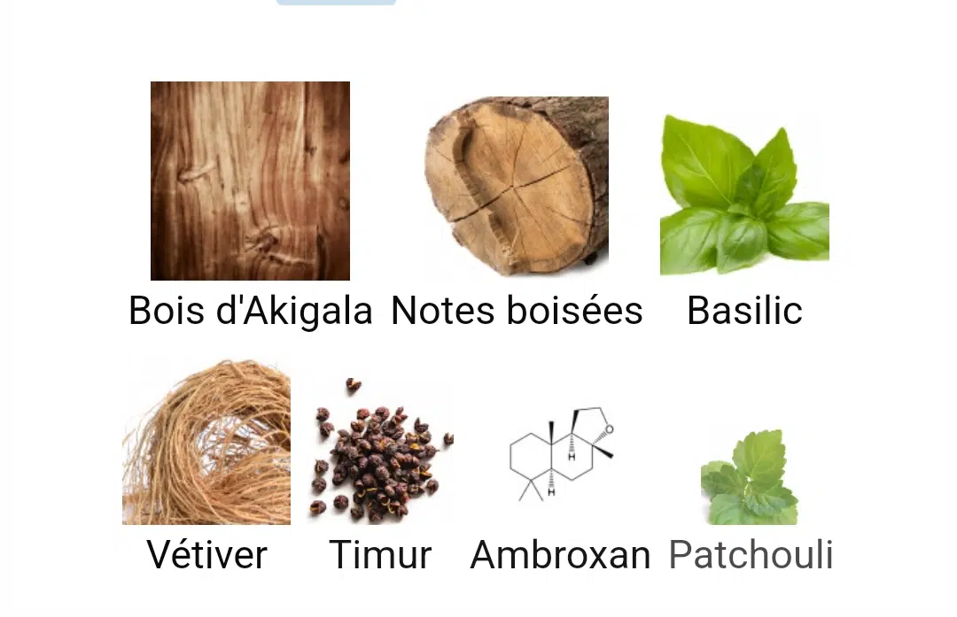 BOIS IMPÉRIAL DE ESSENTIAL PARFUMS