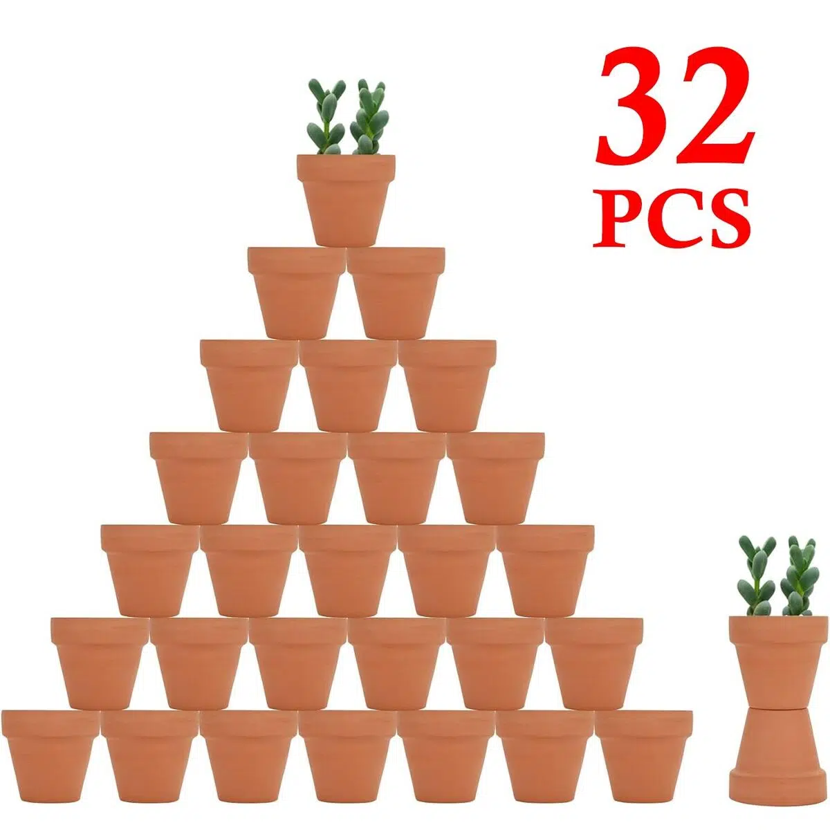 Pot conique 6-cm lot de 6pots