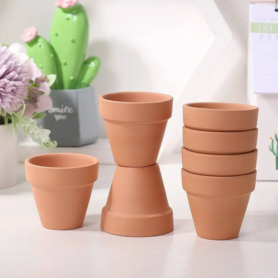 Pot conique 6-cm lot de 6pots