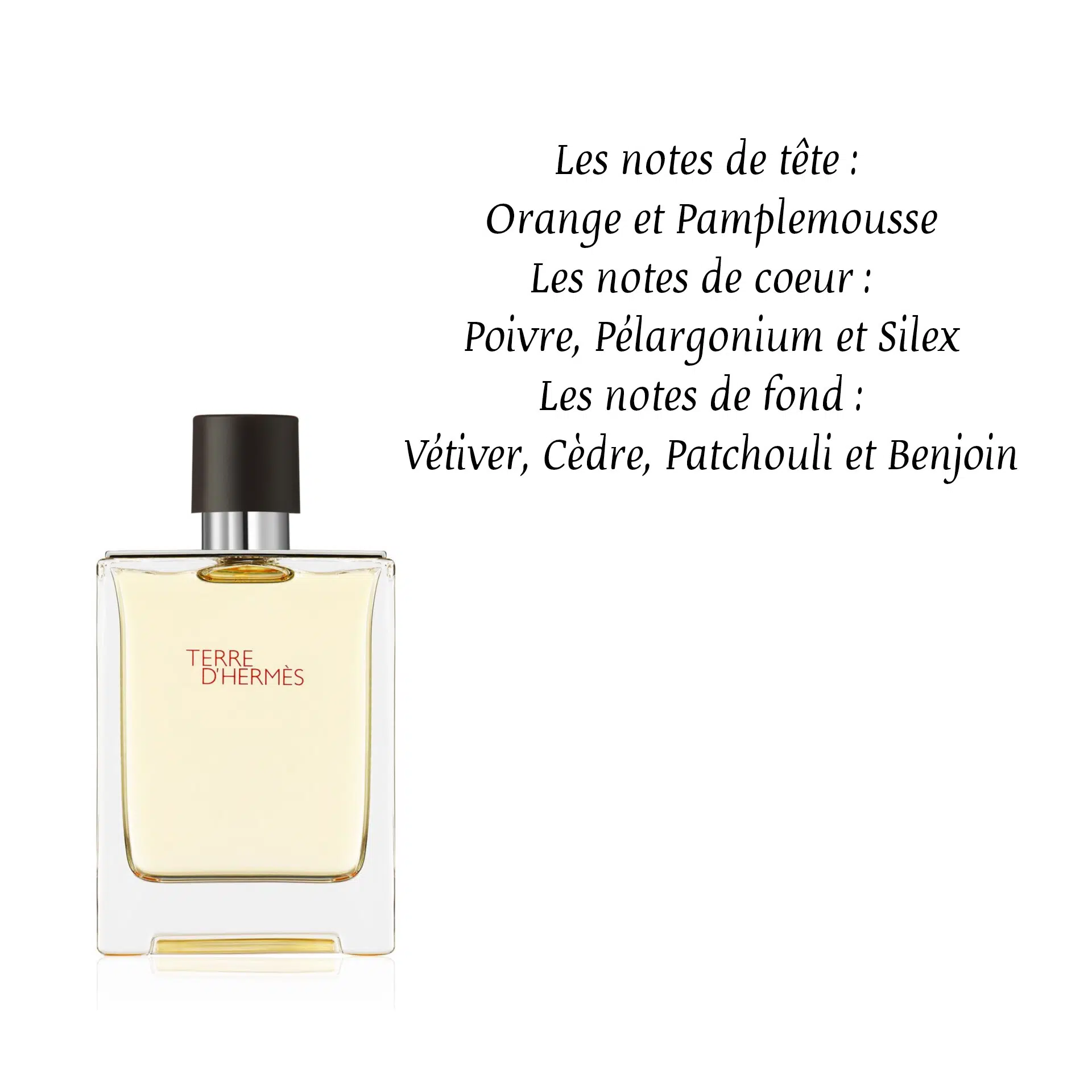 Terre dHermès Eau de toilette 10 ML