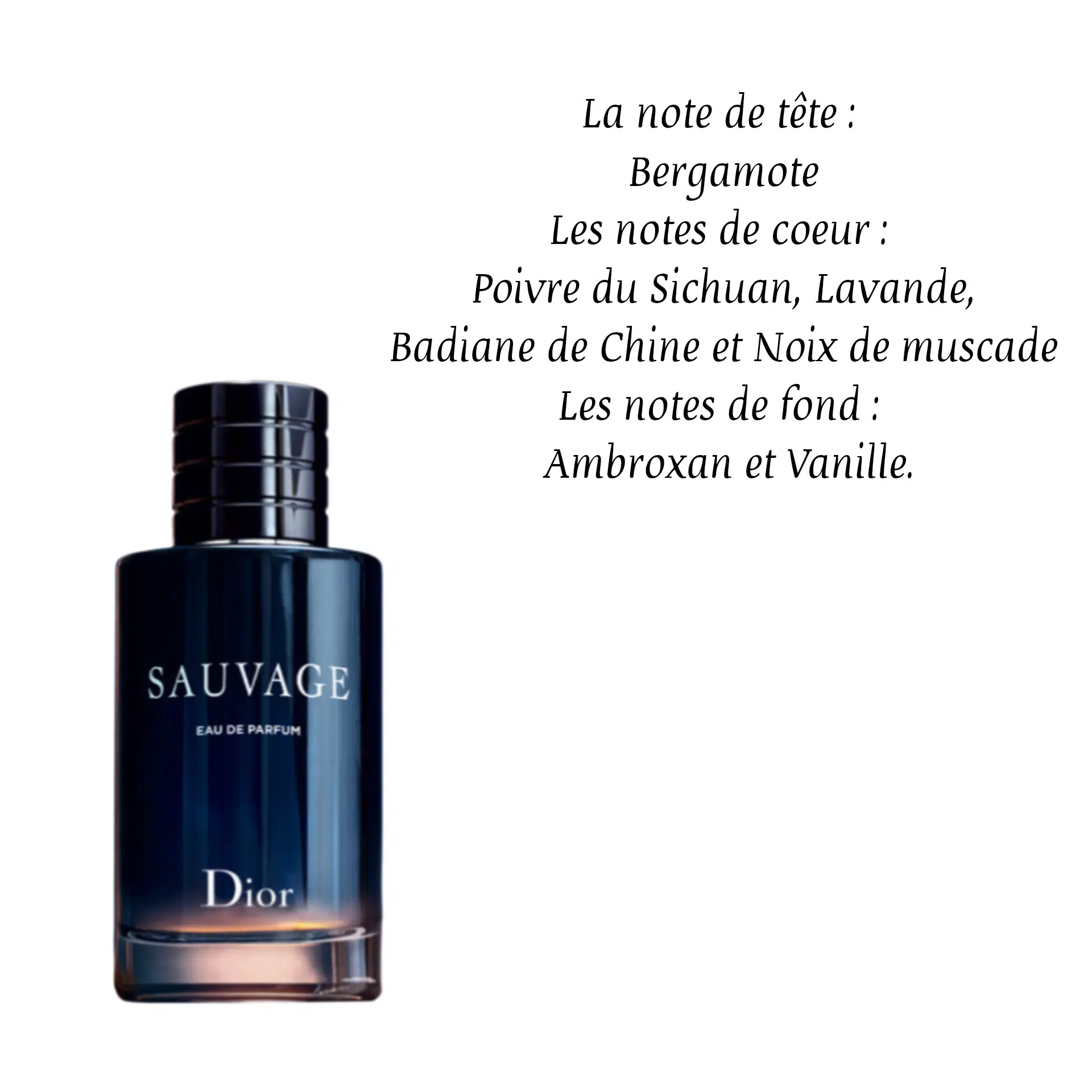 Dior Sauvage Eau de parfum 10ML