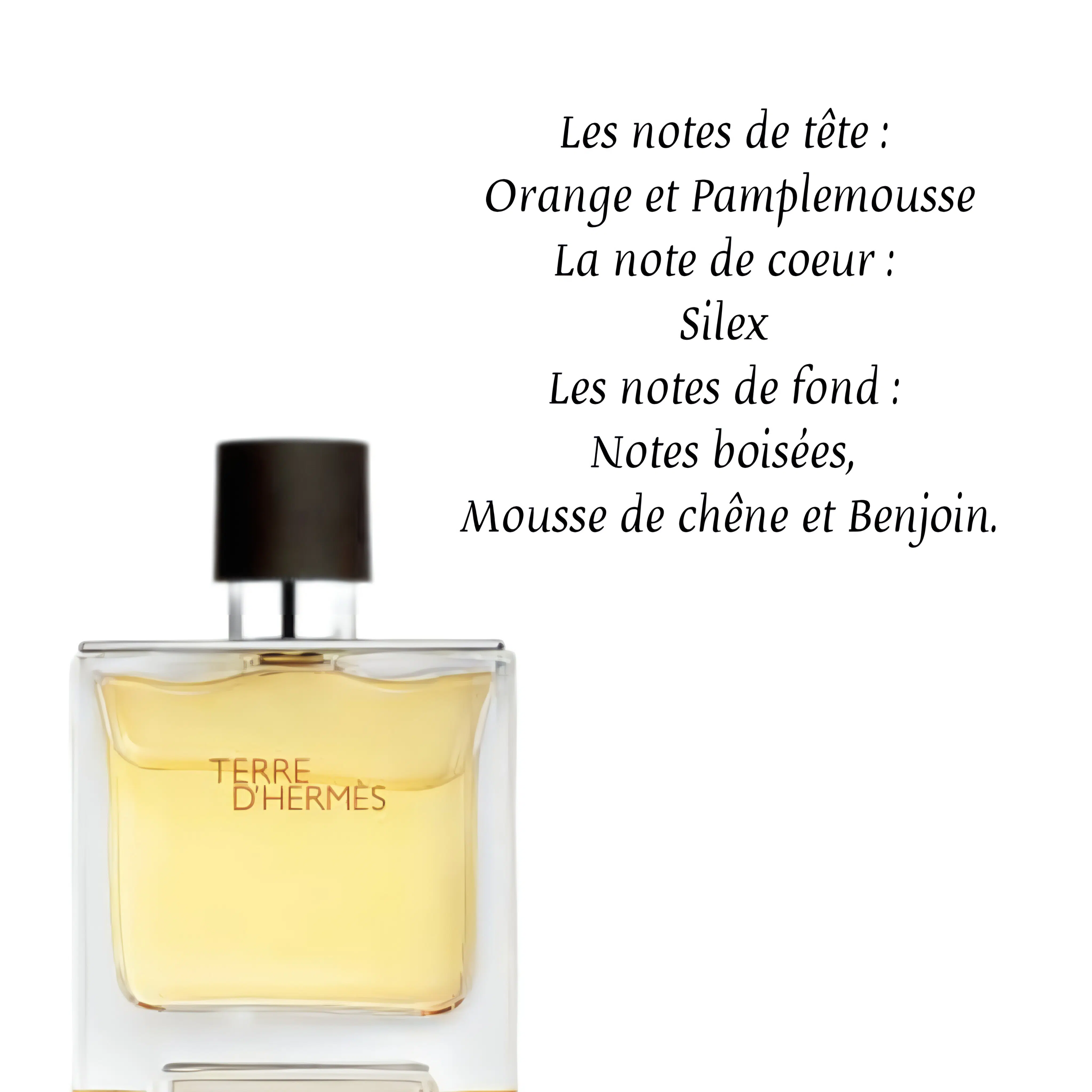 Terre dHermès Parfum - Pure Perfume 10ML