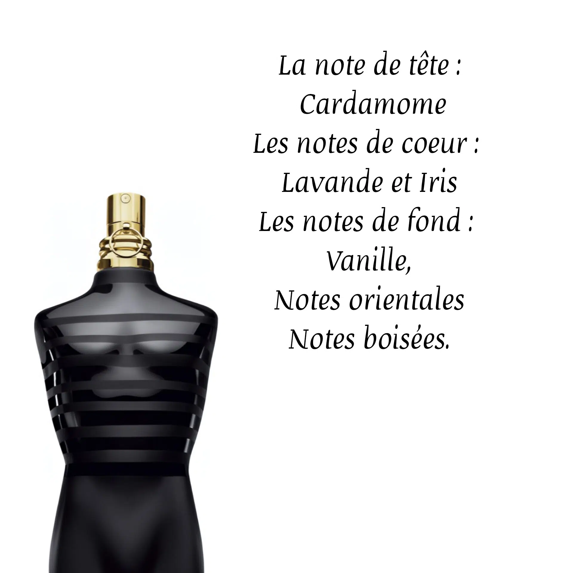 Jean Paul Gaultier le mâle le parfum 10ML