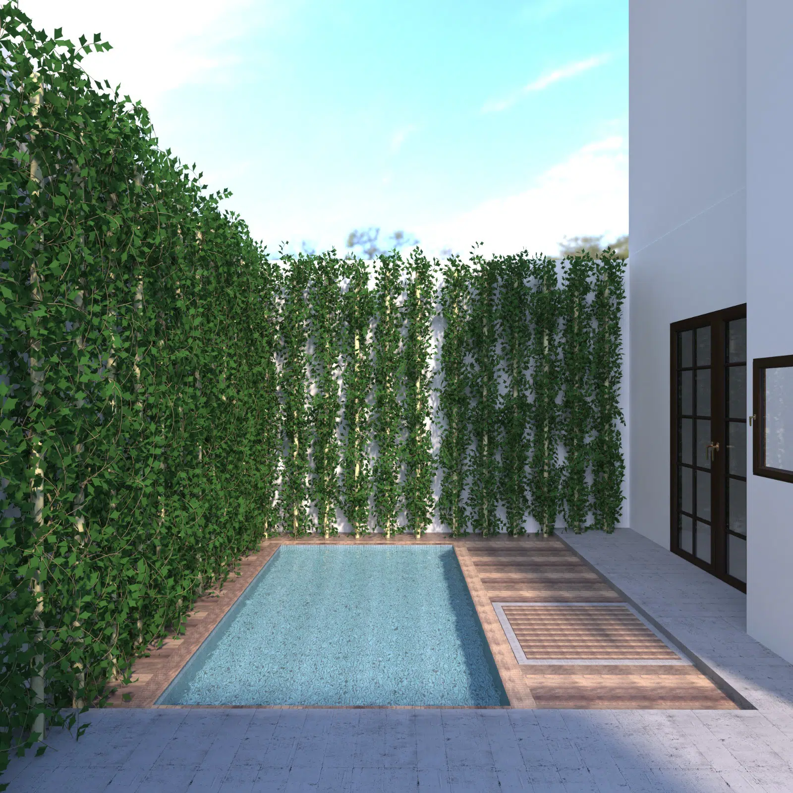 Transformation piscine hors sol