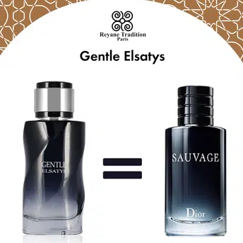 GENTLE ELSATYS de Reyane tradition París. 10ml EDP POUR HOMME