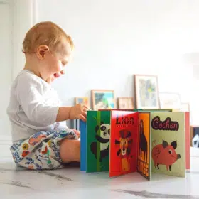 Livres pour bébé