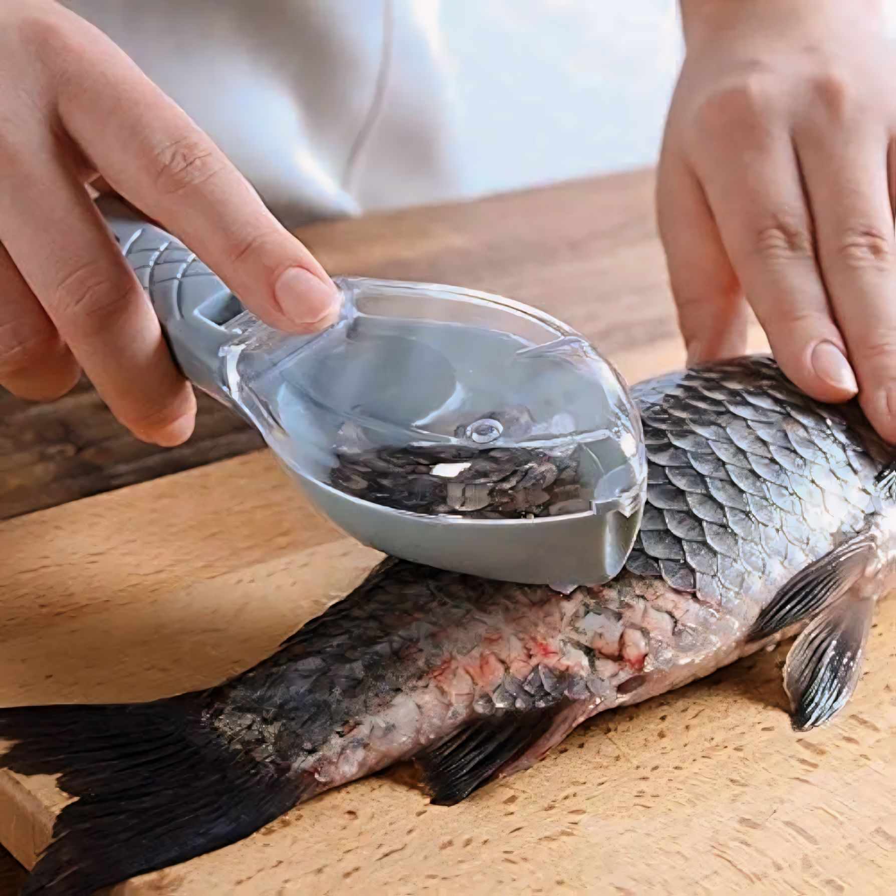 Éplucheur de peau de Poisson
