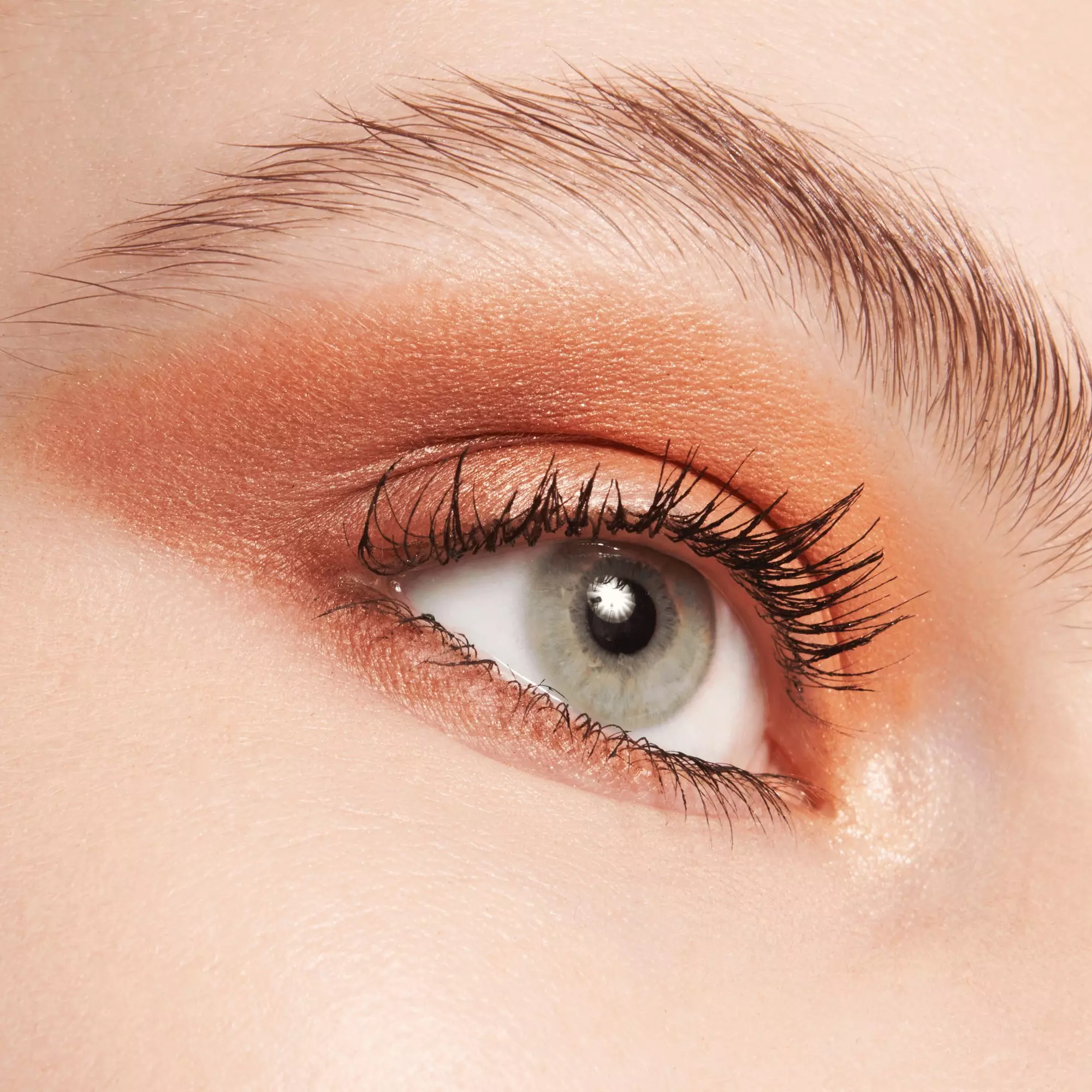essence - the BROWN edition palette fard à paupières