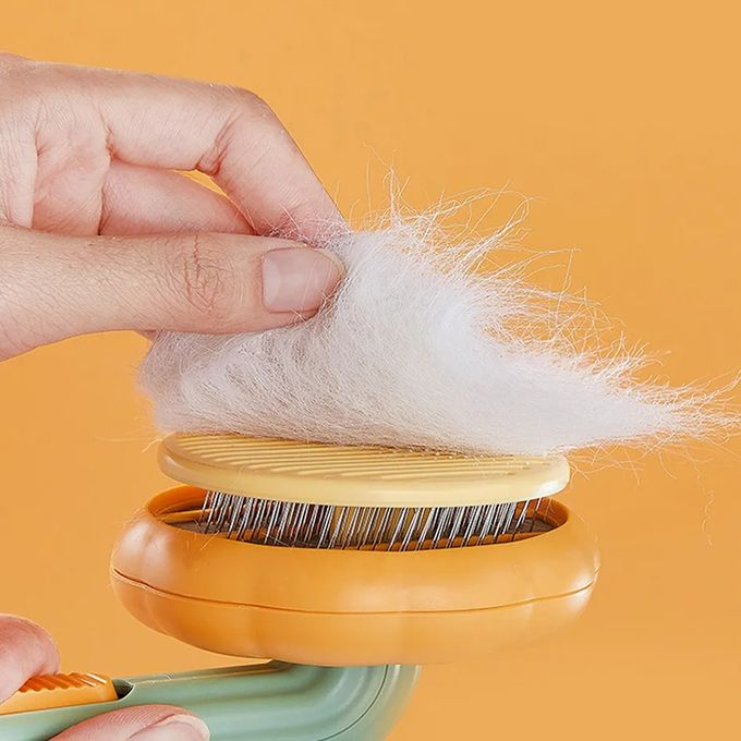 Brosse de toilettage pour chiens et chats