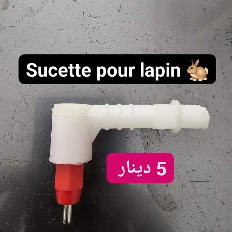 Sucette lapin