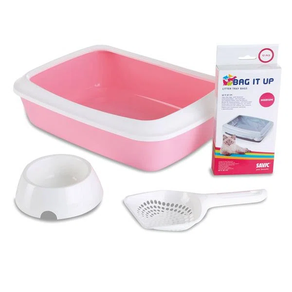 Kit chaton rose