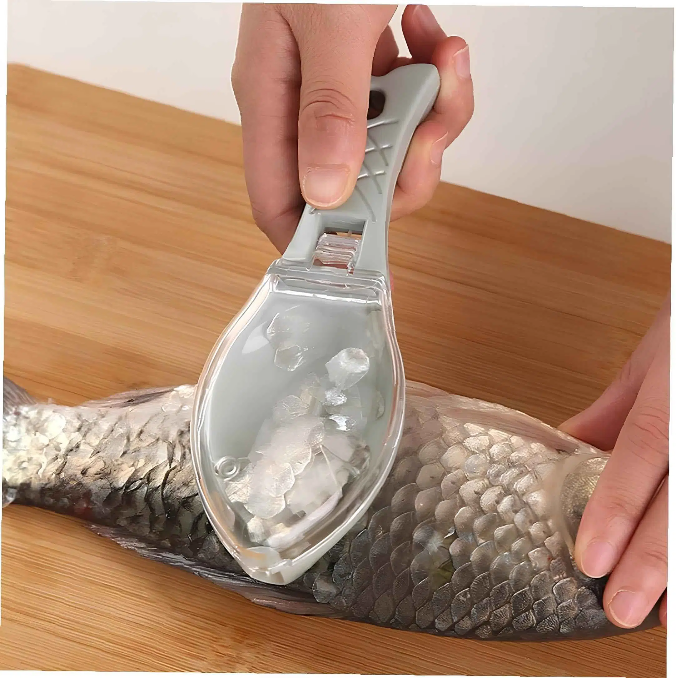 Pack Robot de cuisine multifonctionnel + Brosse Nettoyage Poisson