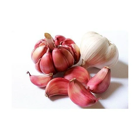 AIL ROUGE
