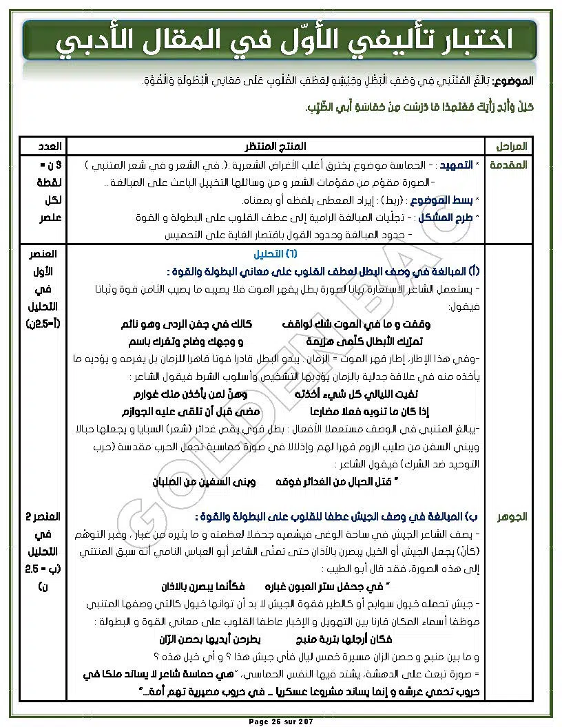ARABE+INFORMATIQUE- TOUTE LANNEE - BAC LETTRES