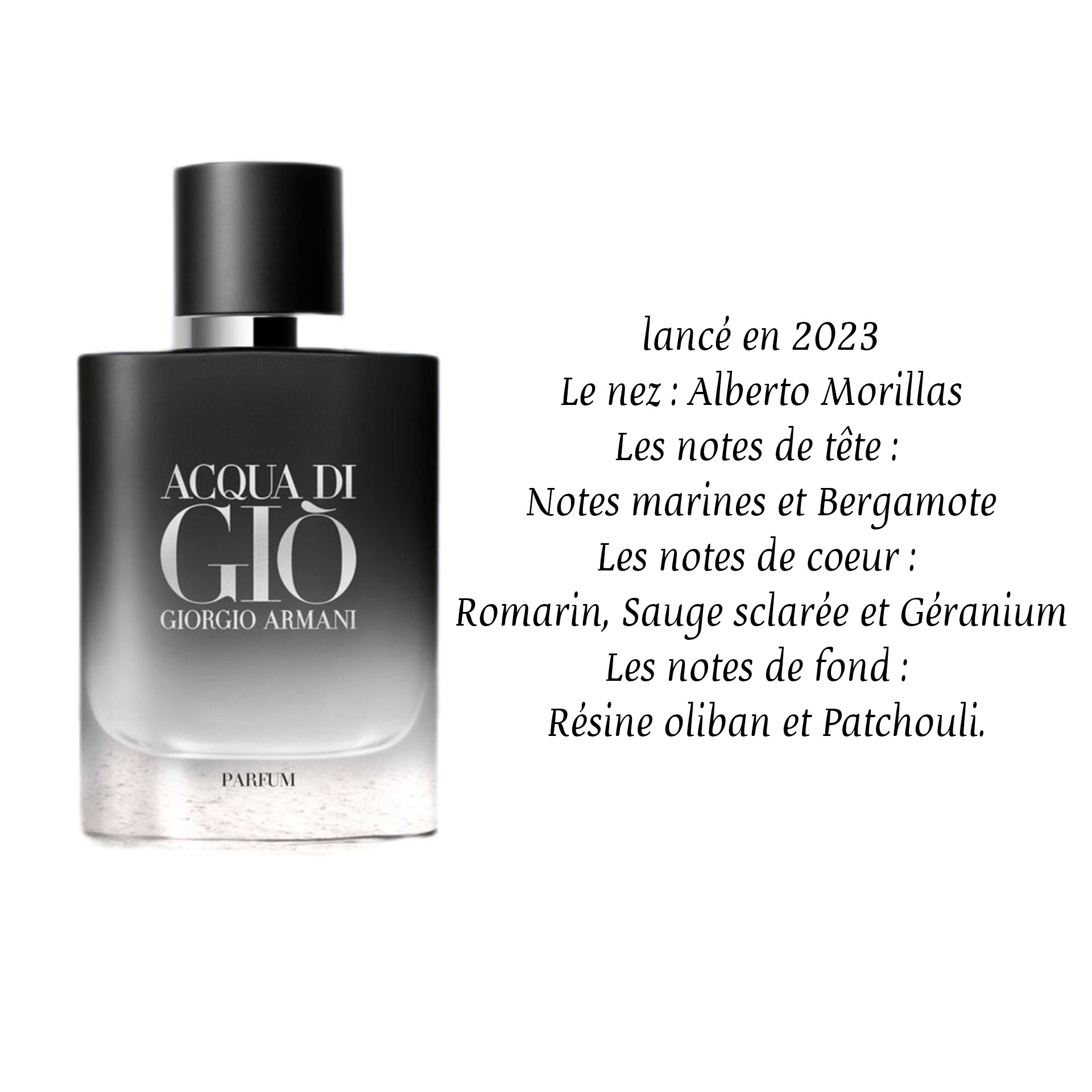 Armani Aqua di Gio Parfum