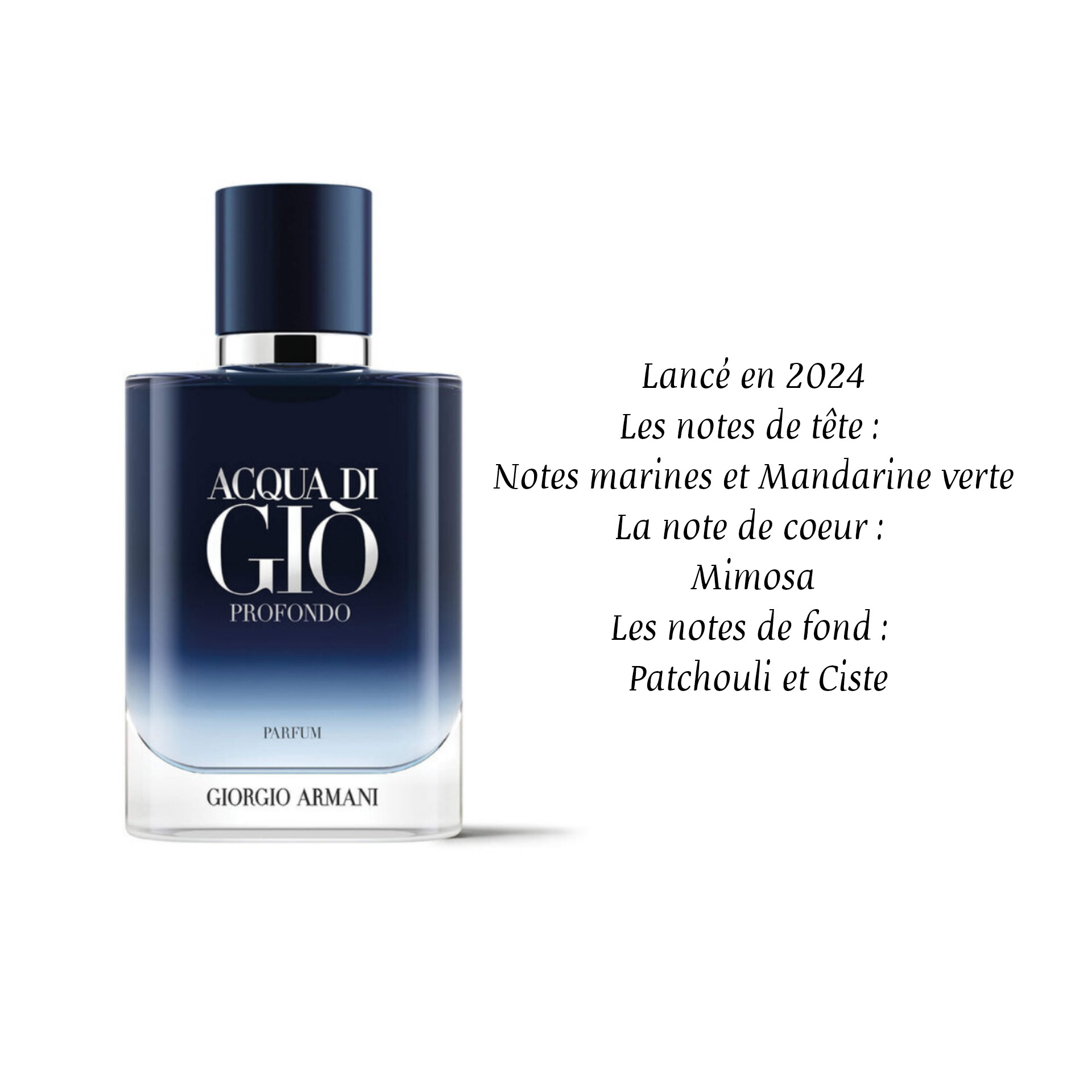 Armani Aqua Di Gio Profondo Parfum