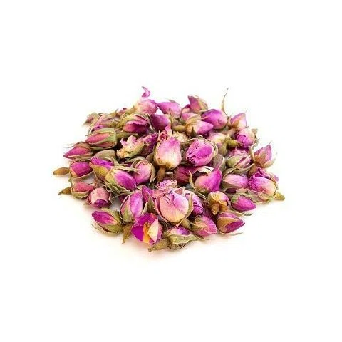 BOUTON DE ROSE