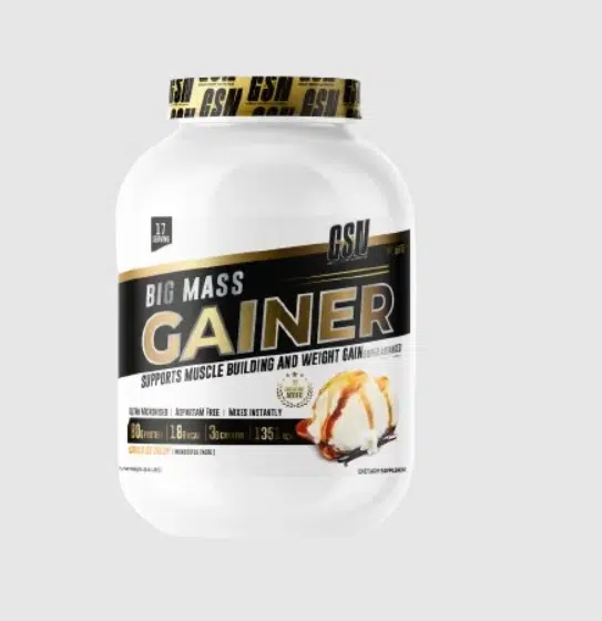 BIG MASS GAINER 3KG