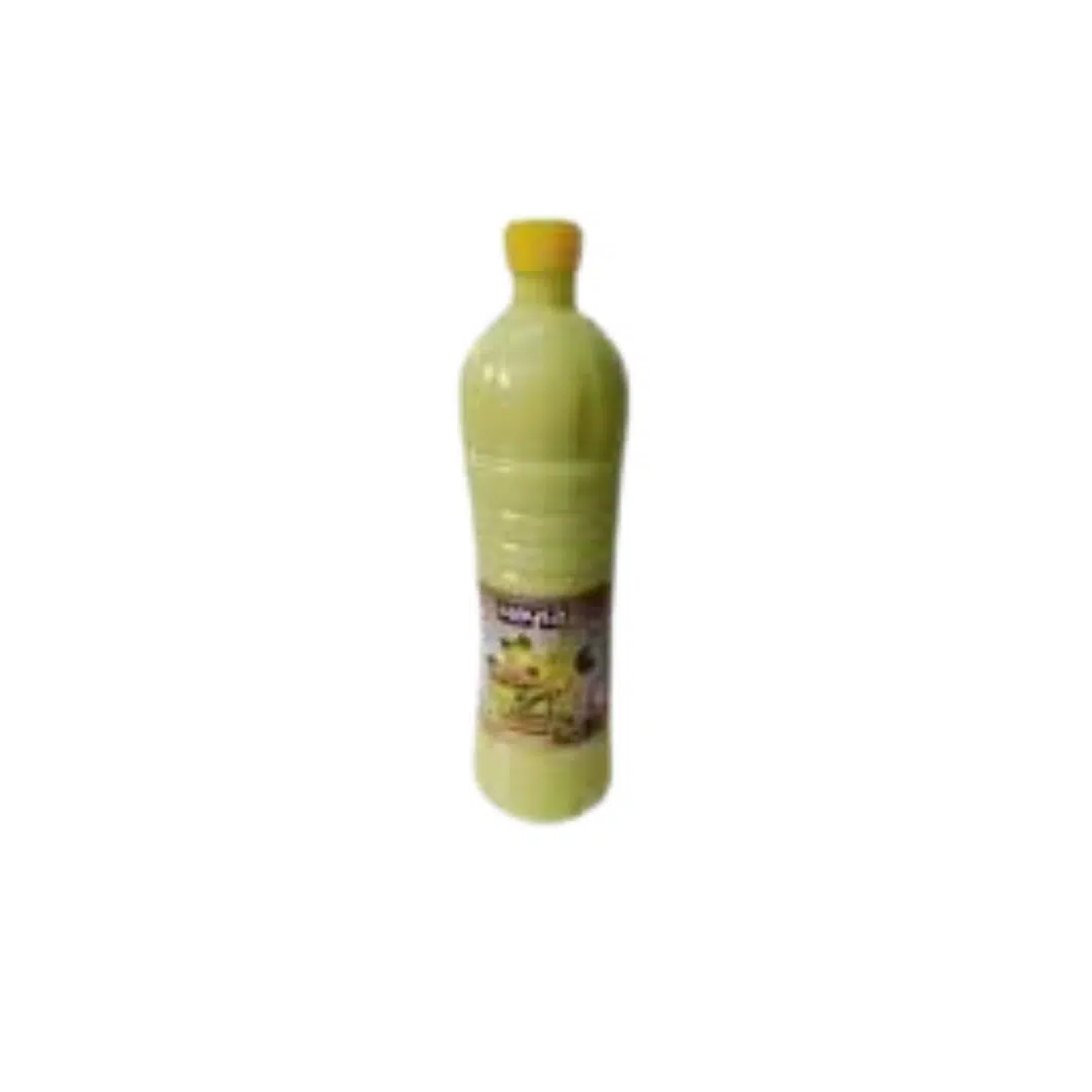 JUS KIWI 1 L HAYLA