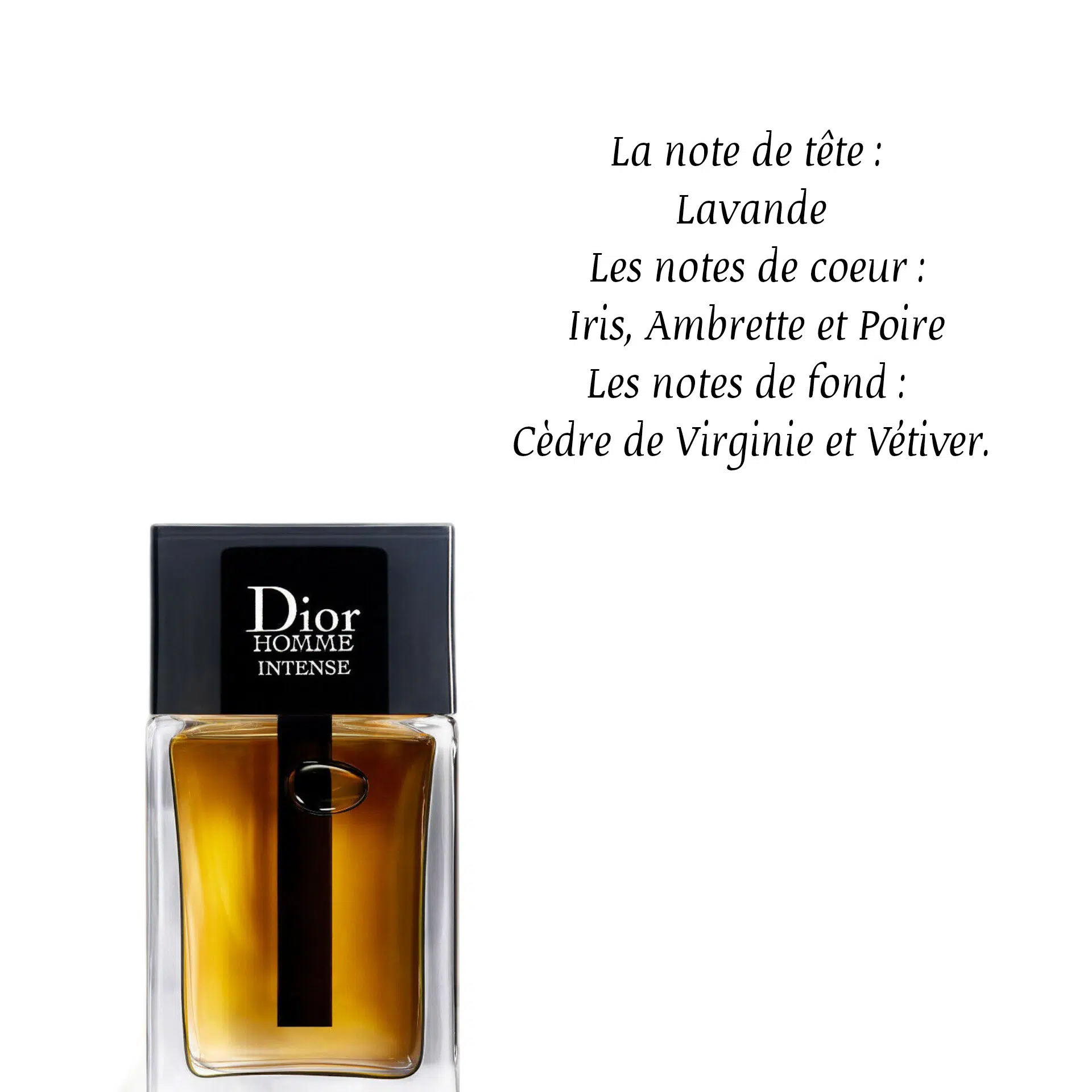 Dior Homme Intense Edp 10ML