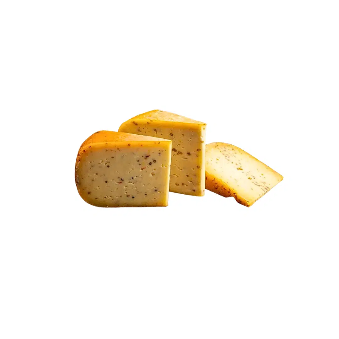 GOUDA BEJA SOTULAIFROM