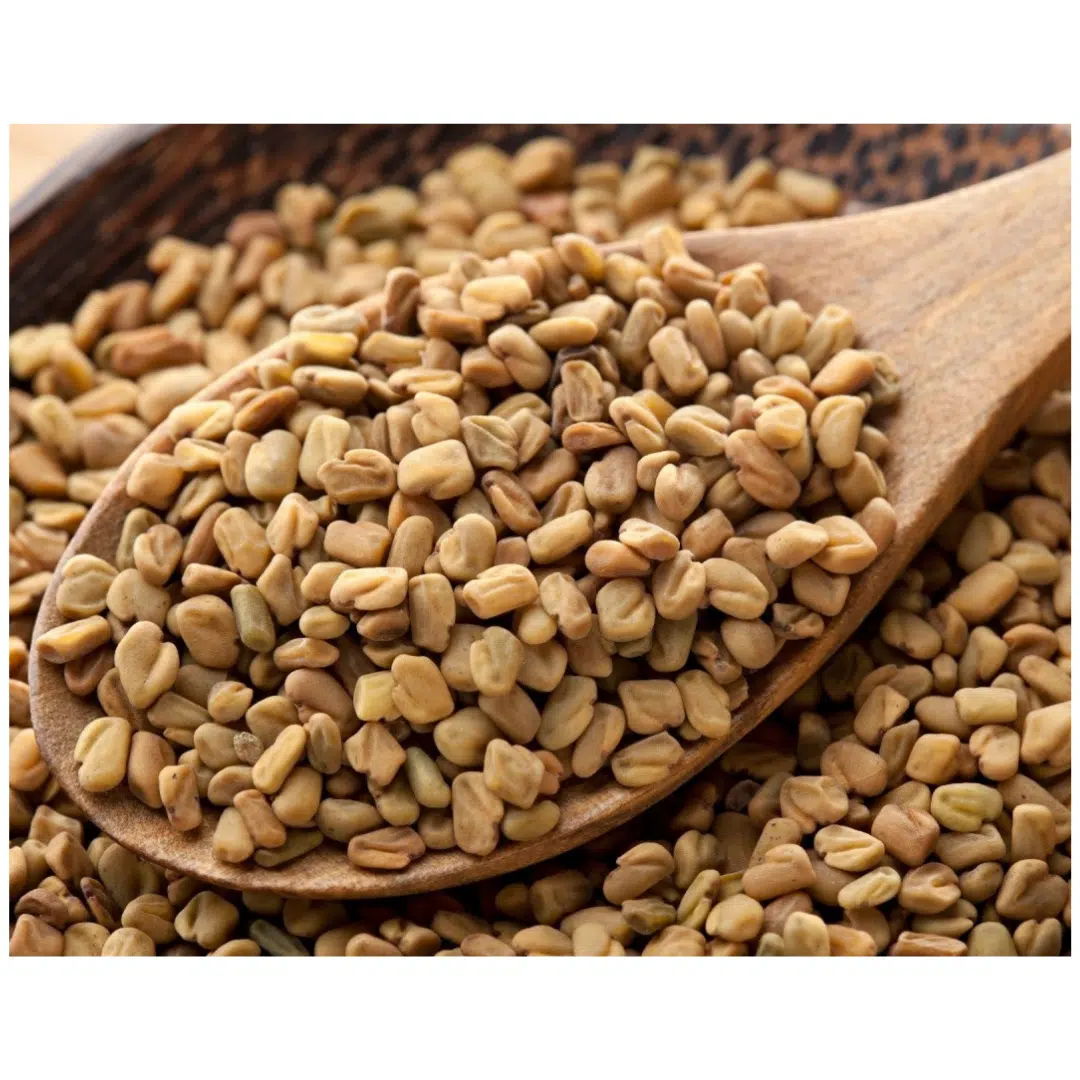 HELBA GRAIN
