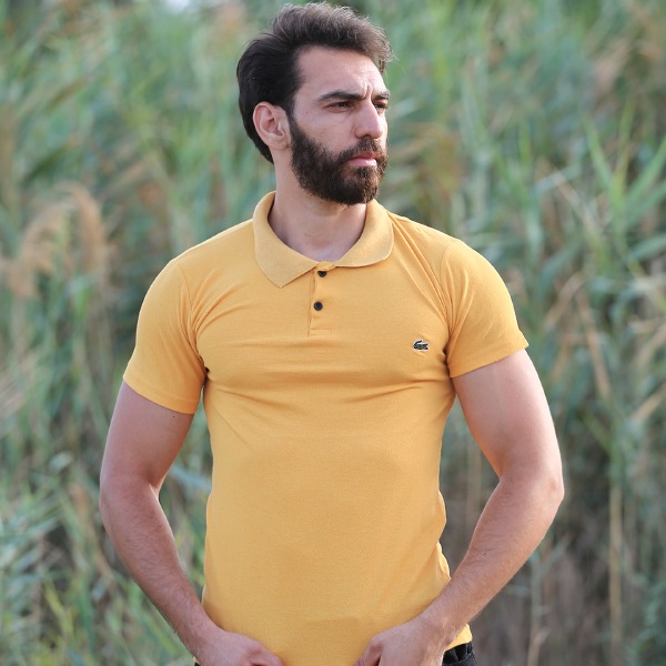 Pack N°1 "Pulls Col Chemise"