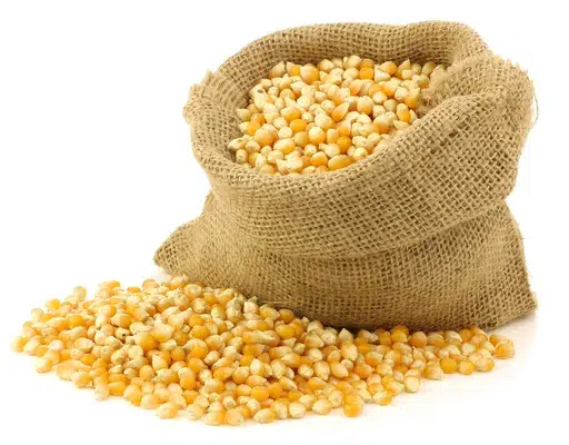 MAIS GRAIN