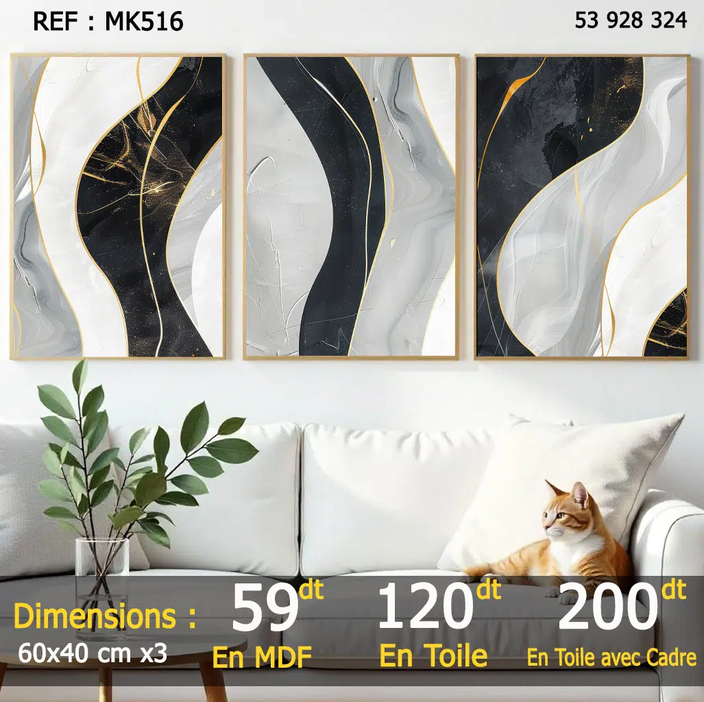 Tableau décoratif 3 pièces - MK516