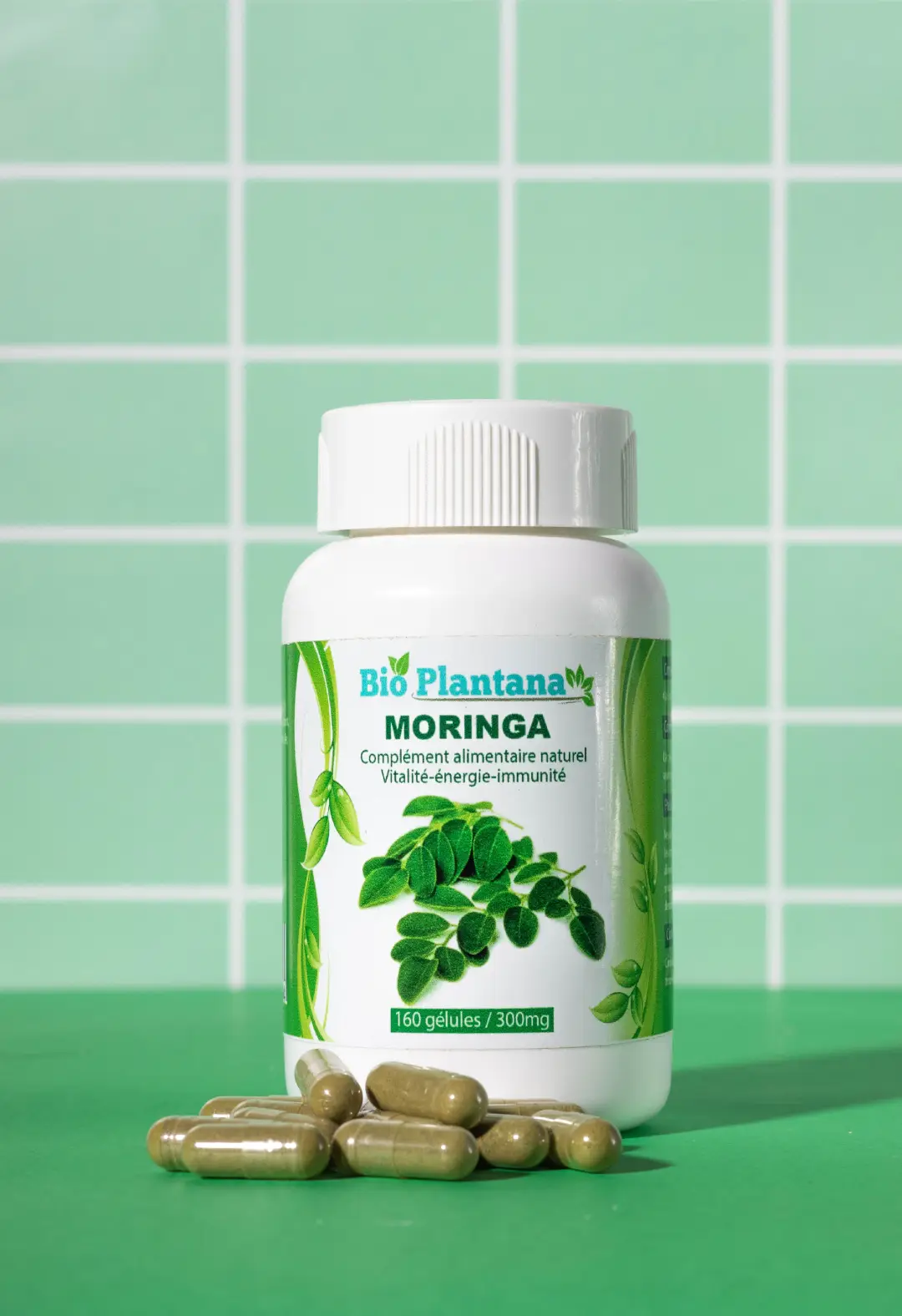 MORINGA 
