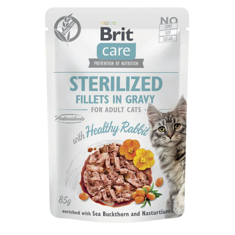 HUMIDE POUR CHAT BRIT POCHON STERILIZED FILLETS IN GRAVY