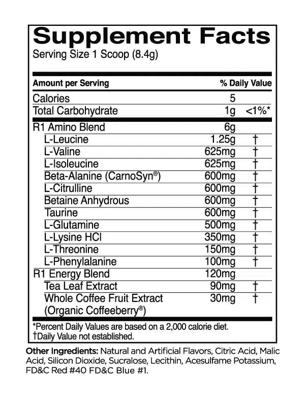 Rule 1 - PRE AMINO ENERGY 252g