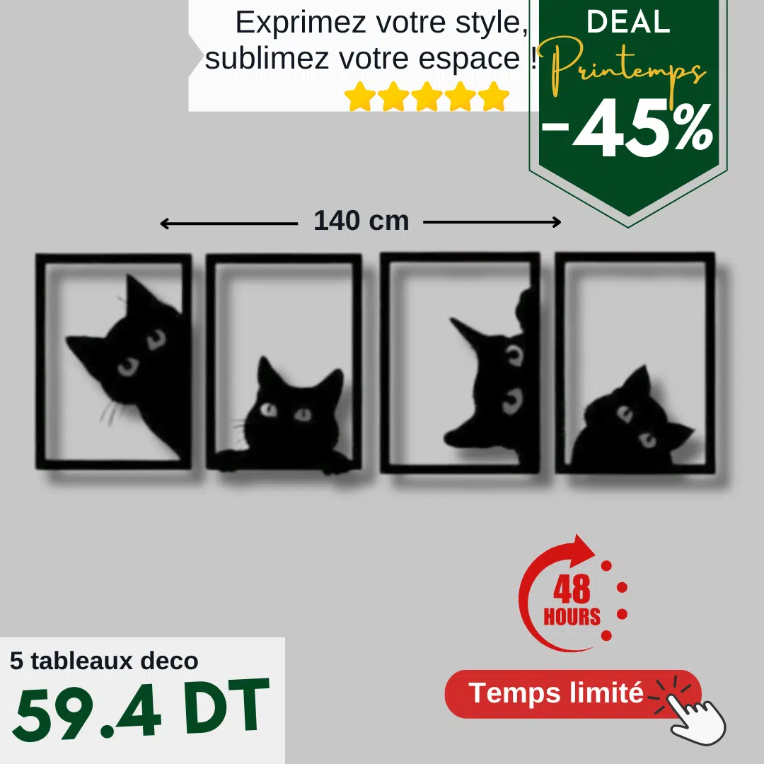 Tableau Décoratif "LE CHAT"