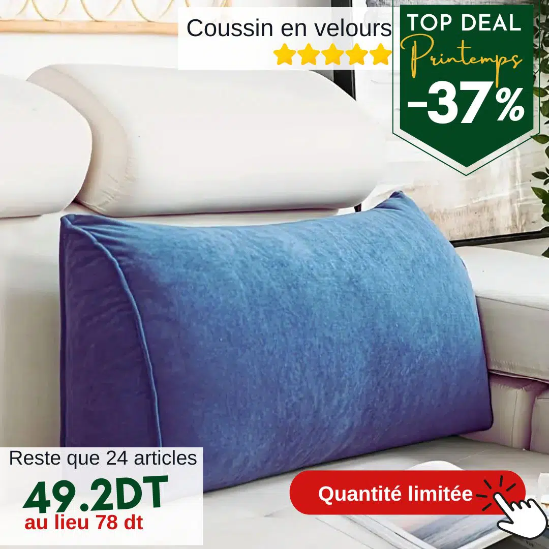 Grand Coussin de Dos OLI – Confort & Élégance en Velours
