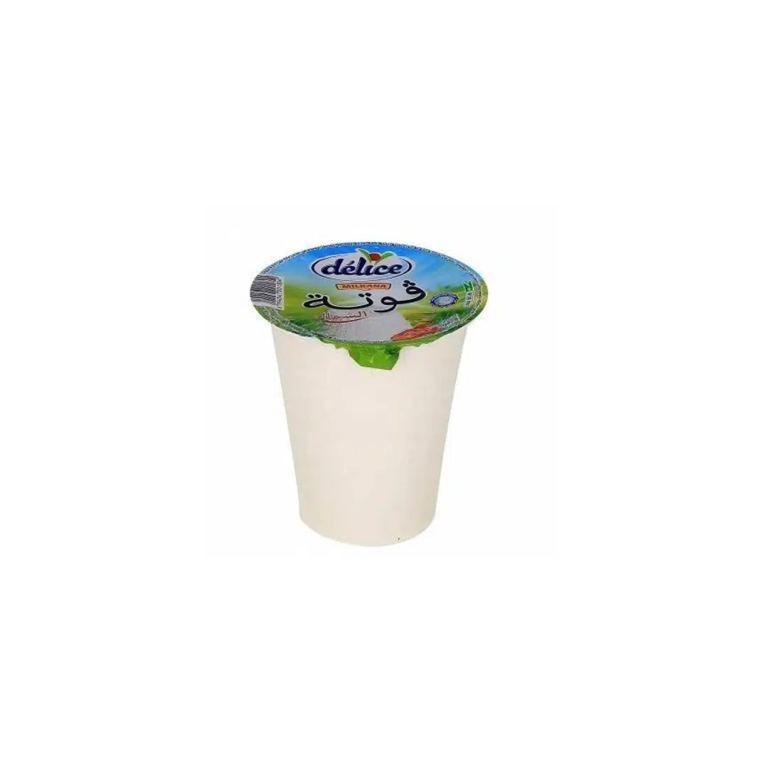RICOTTE MILKANA 310 GR