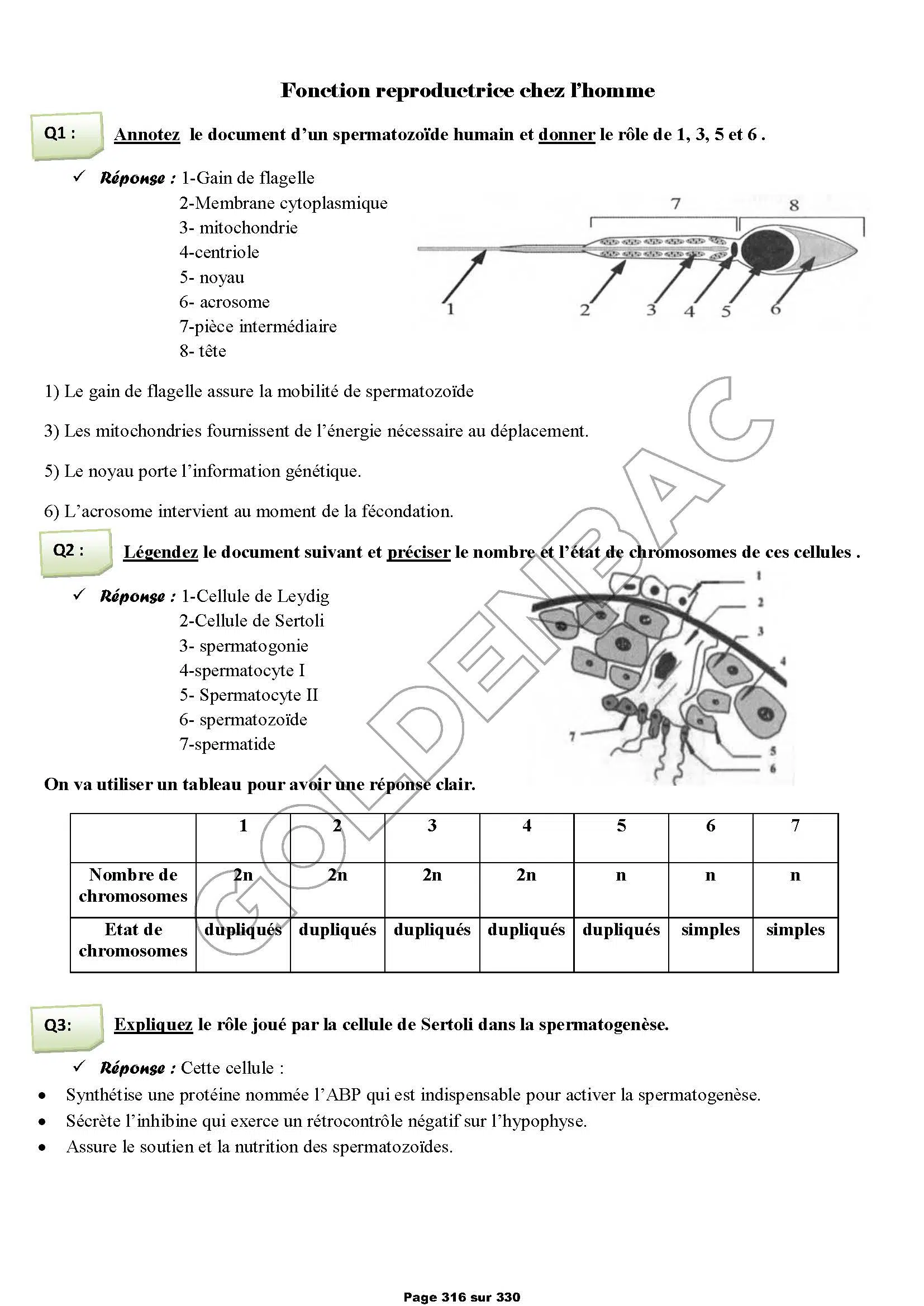 REVISION GLOBALE - TOUTE LANNEE - BAC MATHS