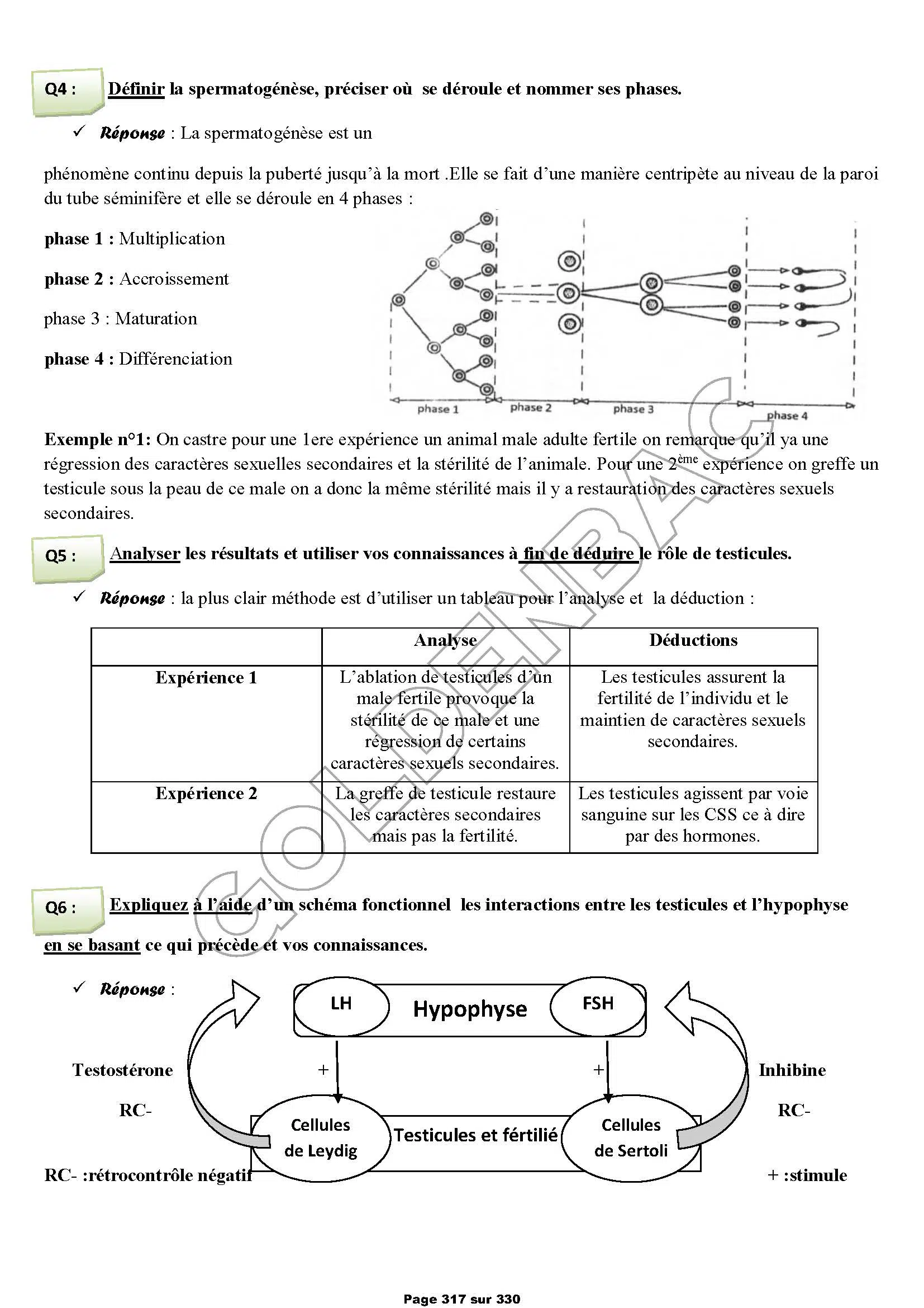 REVISION GLOBALE - TOUTE LANNEE - BAC MATHS