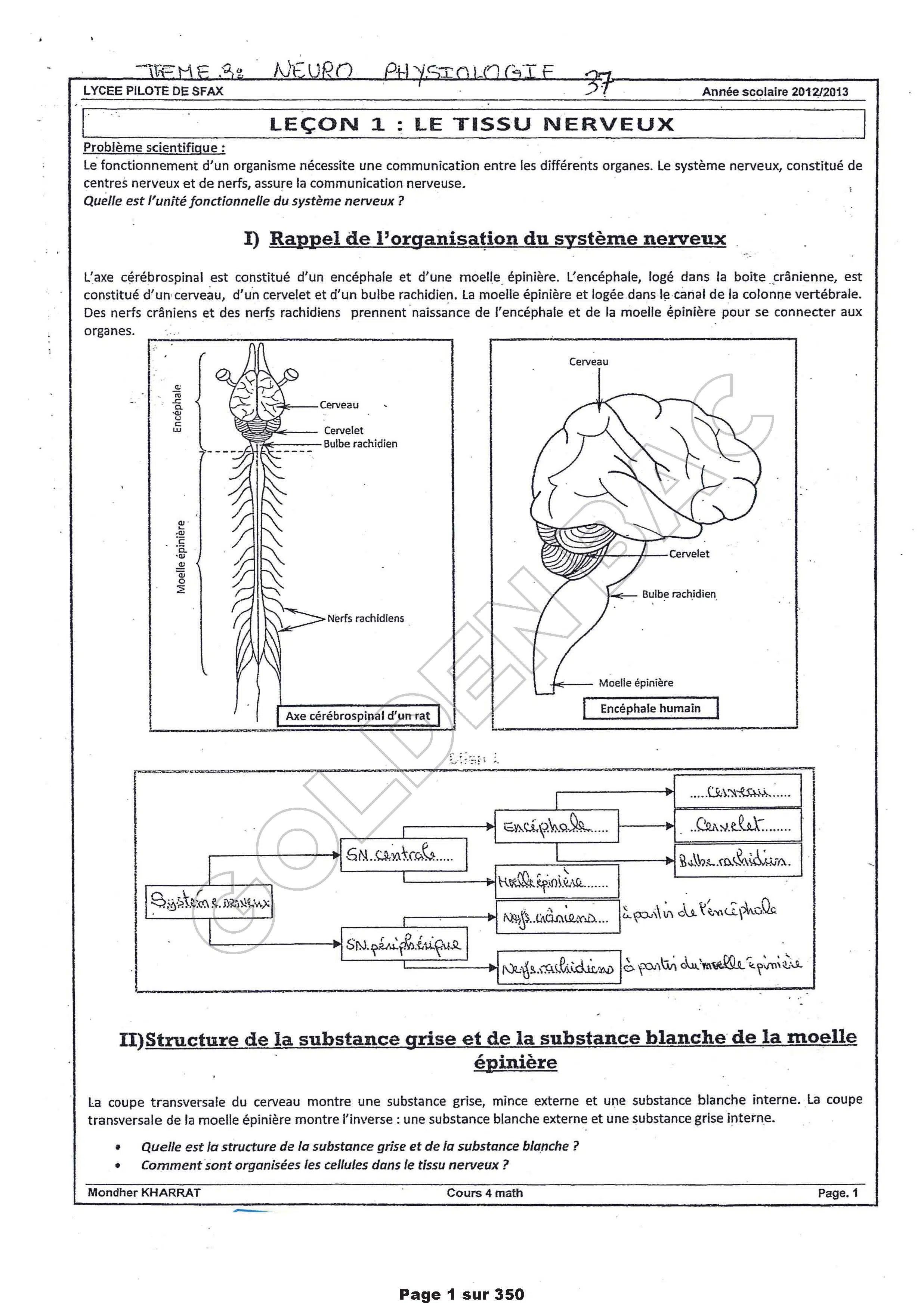 SVT - TOUTE LANNEE - BAC MATHS